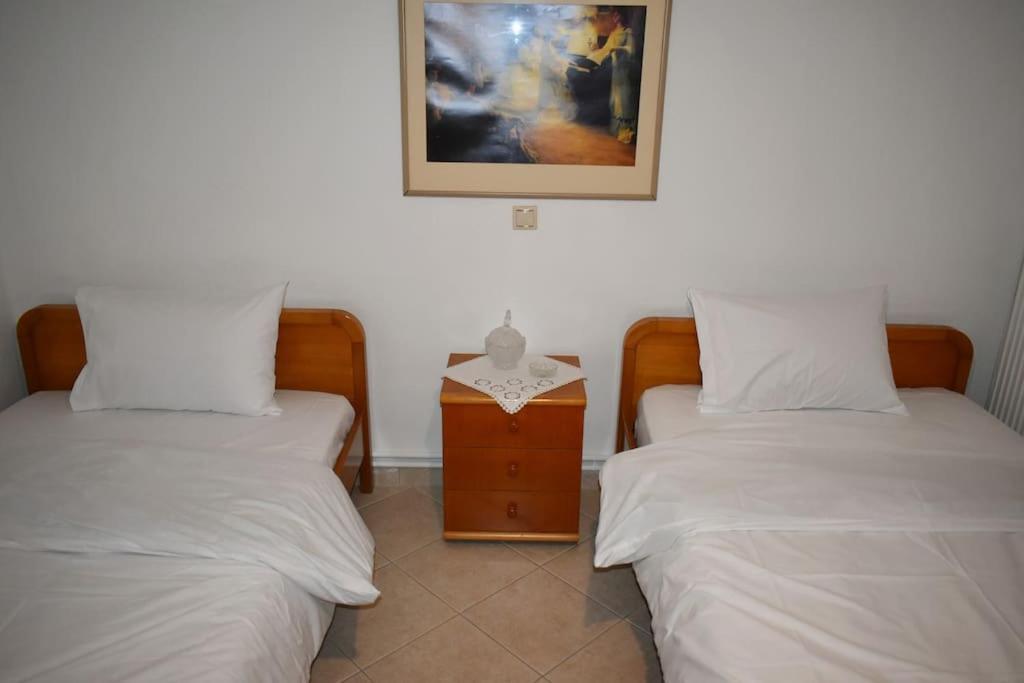 Thalia'S House Apartment Trikala  Exterior photo